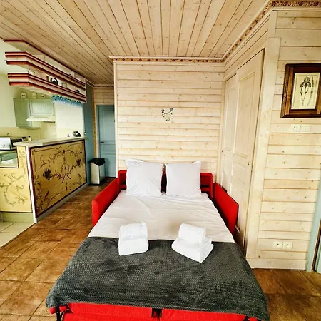 Apartment New Ski-in Ski-out 1 Bedroom In *